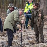 Grudziądzanie Sadzą Las 2026