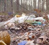 Sprzątanie świata - leśna segregacja z Centrum Edukacji Ekologicznej w Grudziądzu