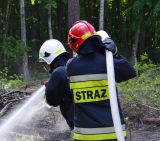 Ćwiczenia jednostek ratowniczo-gaśniczych w lesie