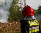 Pierwszy pożar lasu w 2016 roku