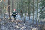 Pożar podczas spaceru z leśniczym